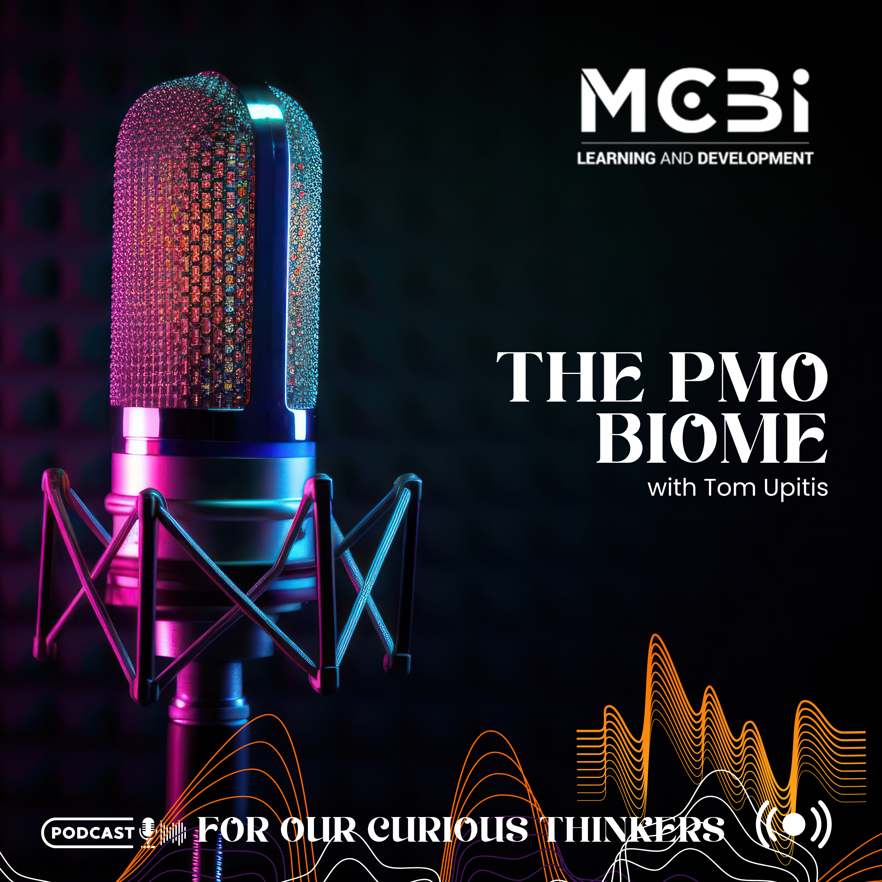 MCBI Podcast Series